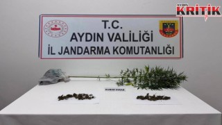 Söke’de Jandarmadan Uyuşturucu Operasyonu