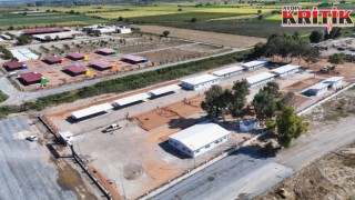 Efeler’de can dostları için dev proje açılışa hazır