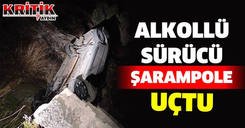 Alkollü sürücü şarampole uçtu