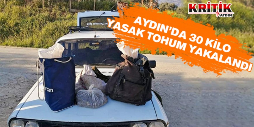 Aydın'da 30 kilo yasak tohum yakalandı