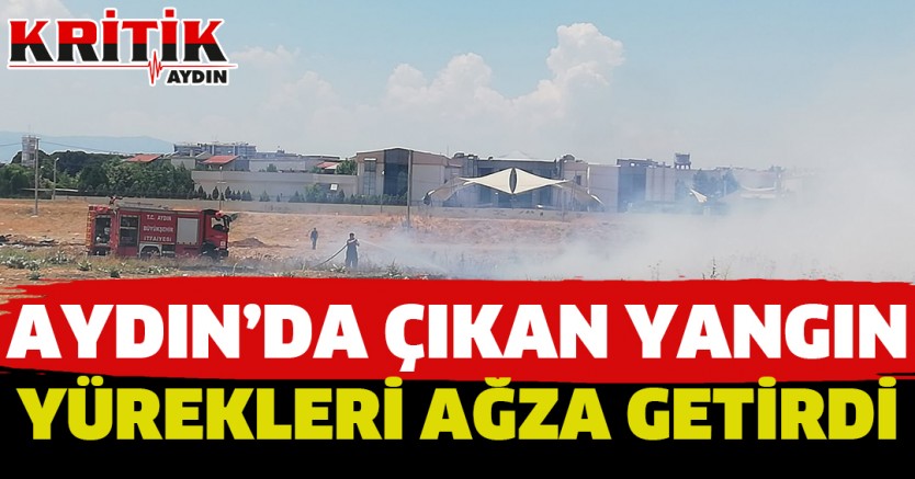 Aydın'da Çıkan Yangın Yürekleri Ağza Getirdi