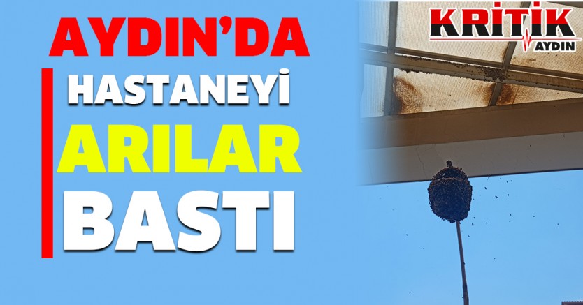 Aydın'da Hastaneyi Arılar Bastı