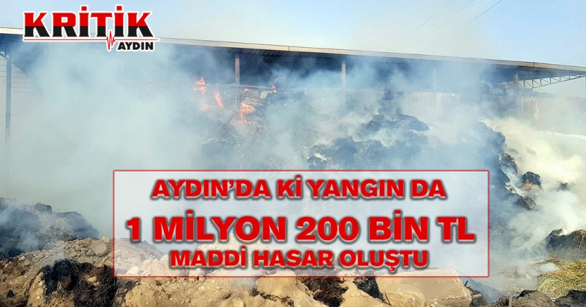 Aydın'da ki yangın da 1 Milyon 200 Bin TL maddi hasar oluştu