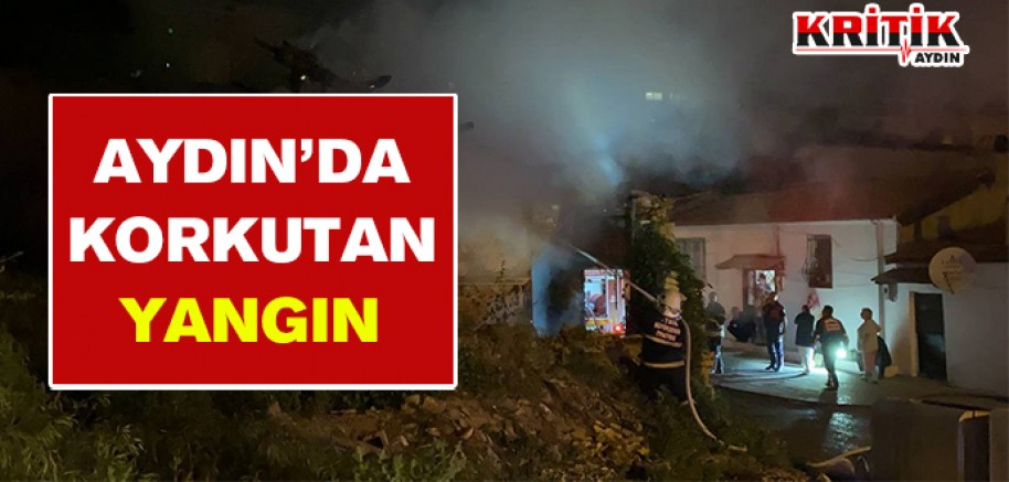 Aydın'da korkutan yangın