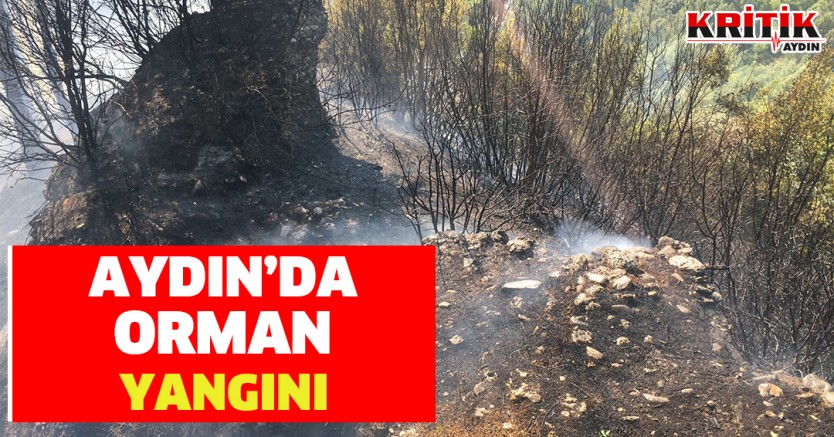 Aydın'da Orman Yangını