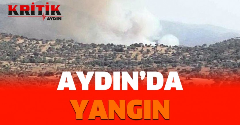 Aydın'da Yangın!