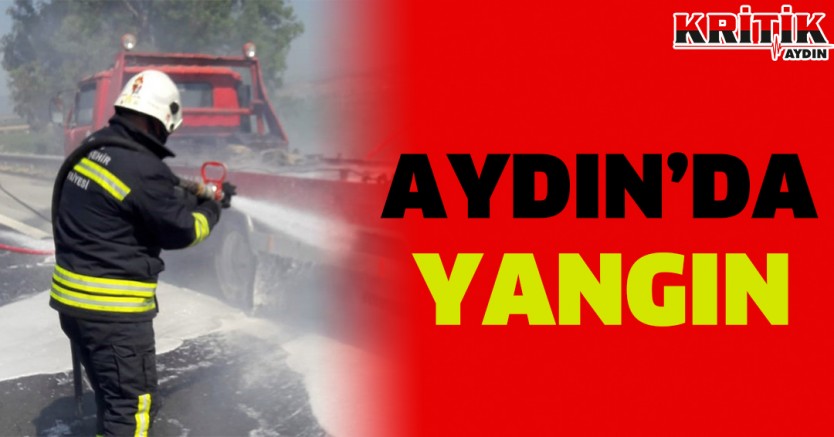 Aydın'da Yangın!