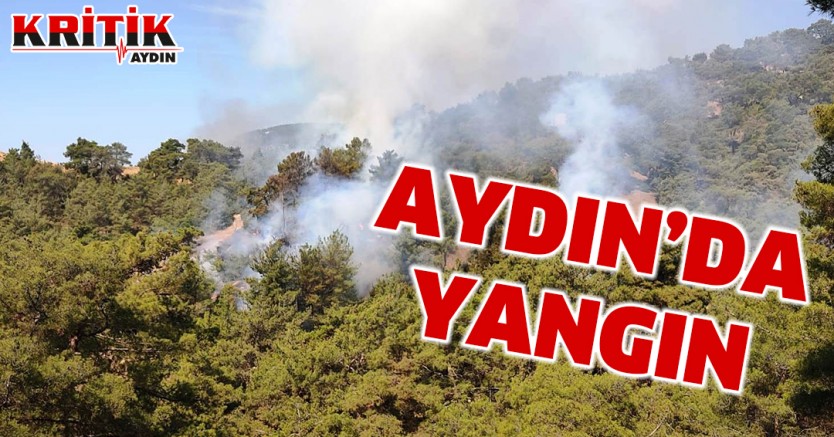 Aydın'da Yangın!