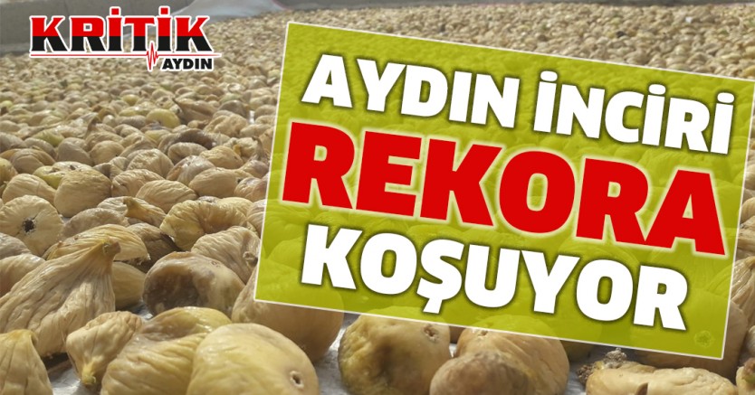 Aydın İnciri Rekora Koşuyor