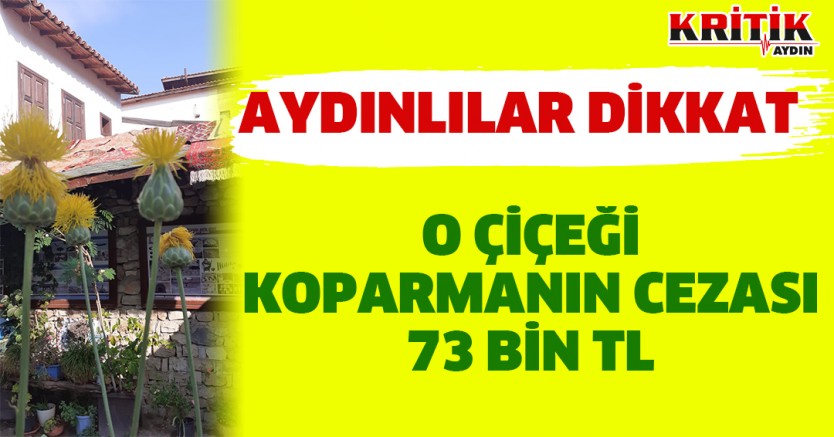 Aydınlılar Dikkat!