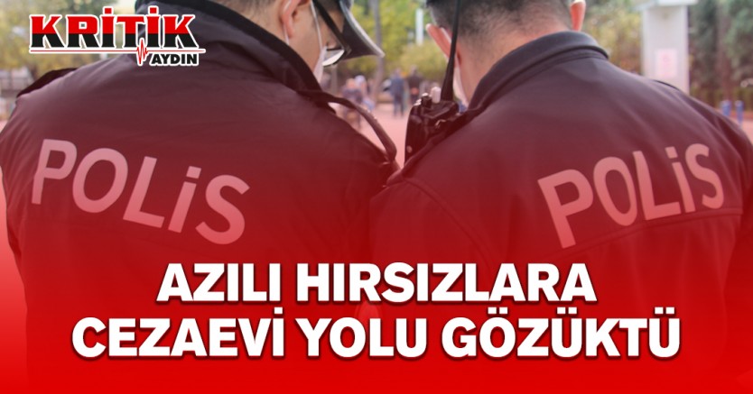 Azılı hırsızlara cezaevi yolu gözüktü