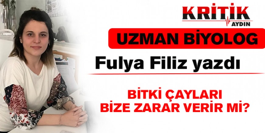 Bitki çayları bize zarar verir mi ? 