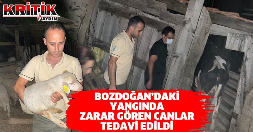 Bozdoğan'da yangından zarar gören canlar tedavi edildi