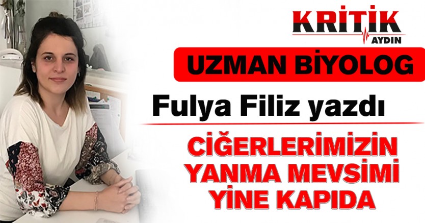 CİĞERLERİMİZİN YANMA MEVSİMİ YiNE KAPIDA