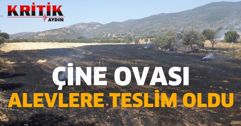 Çine Ovası Alevlere Teslim Oldu