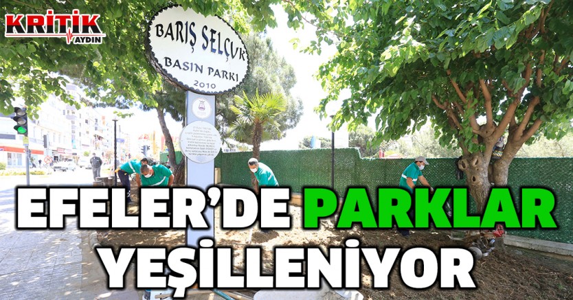 Efeler'de parklar yeşilleniyor