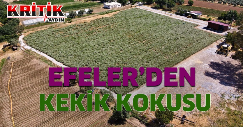 Efeler'den Kekik Kokusu