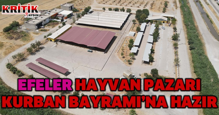 Efeler Hayvan Pazarı Kurban Bayramı'na hazır