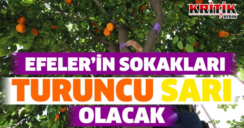 Efeler'in sokakları turuncu sarı olacak