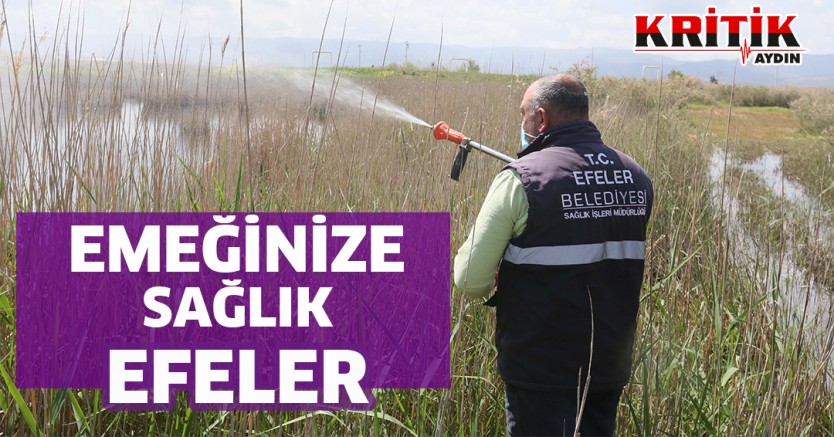 Emeğinize Sağlık Efeler