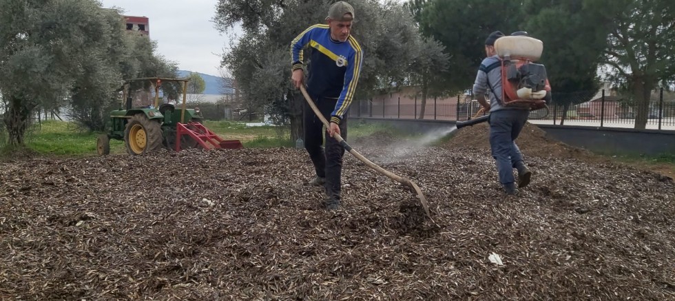 Herkes çöp diye yakıyordu, çok değerli bir gübre olduğu ortaya çıktı