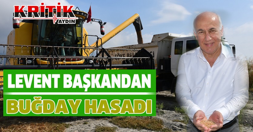 Levent Başkandan Buğday Hasadı