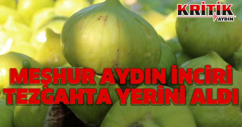 Meşhur Aydın inciri tezgahta yerini aldı