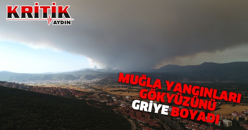 Muğla yangınları gökyüzünü griye boyadı