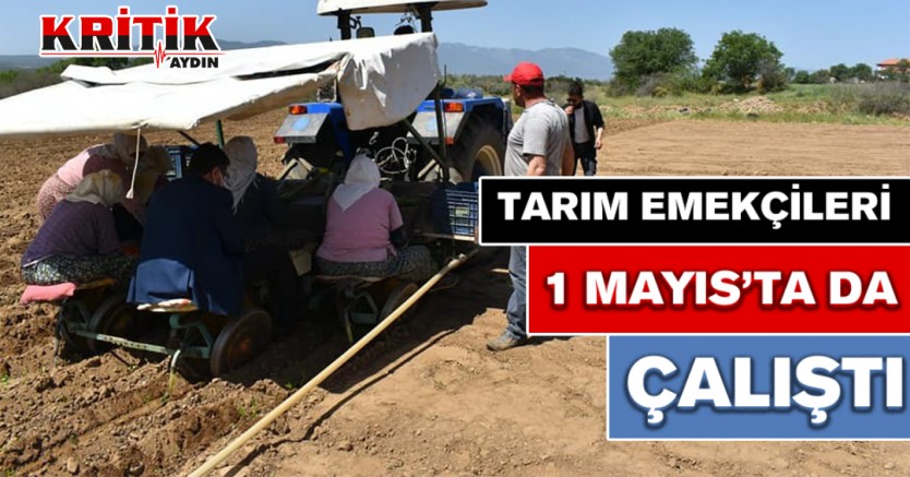 Tarım emekçileri 1 Mayıs'ta da çalıştı