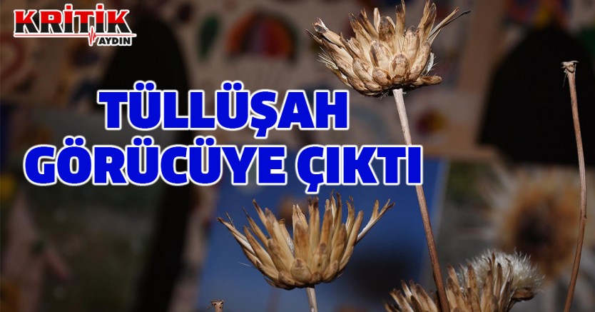 Tüllüşah görücüye çıktı