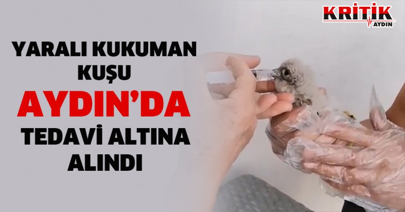 Yaralı Kukuman Kuşu Aydın'da Tedavi Altına Alındı