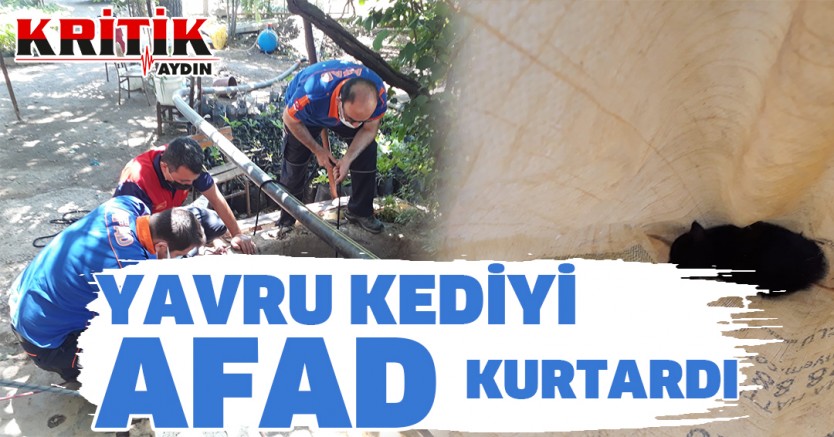 Yavru Kediyi AFAD Kurtardı