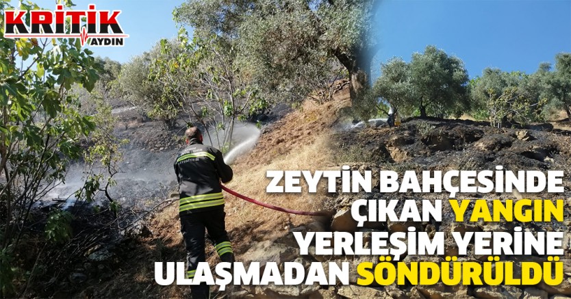 Zeytin bahçesinde ki yangın yerleşim yerine ulaşmadan söndürüldü